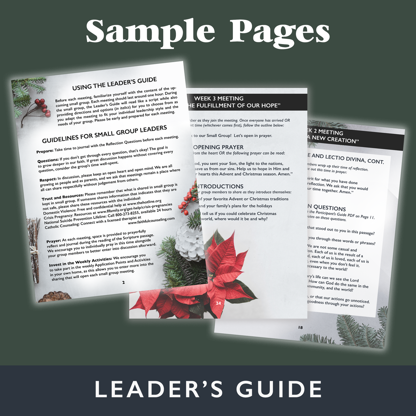 Leader's Guide to "Advent Brings Us Hope"