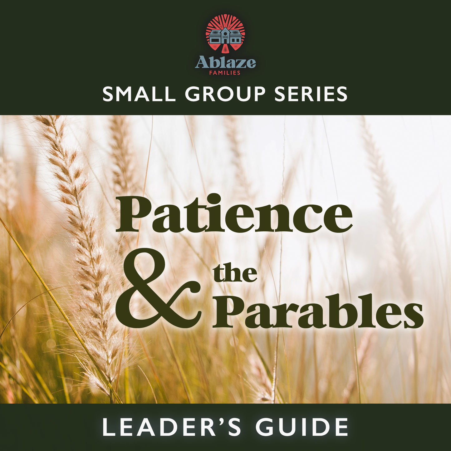 Leader's Guide to "Patience and the Parables"